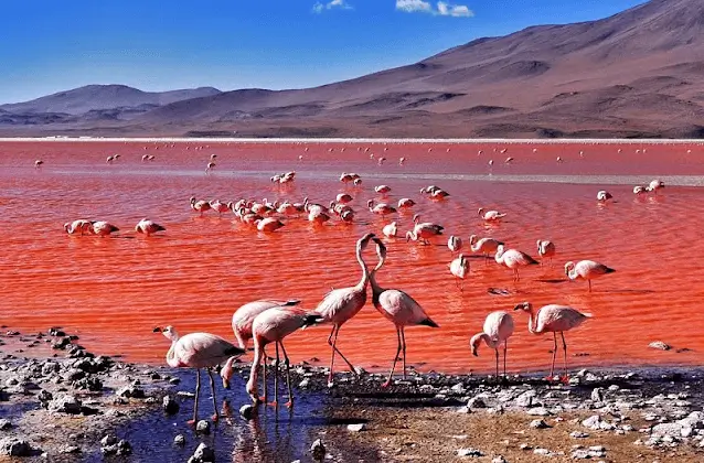 3D2N ATACAMA,  UYUNI,  ATACAMA  PRIVATE